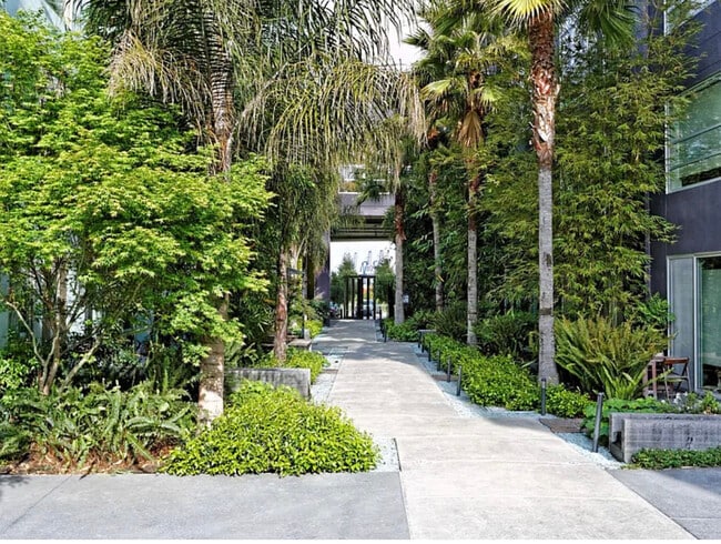 Entrada - 1201 Pine St Unidad 157