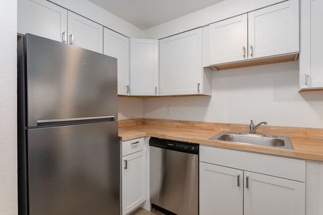 Photo - Arise Bellingham