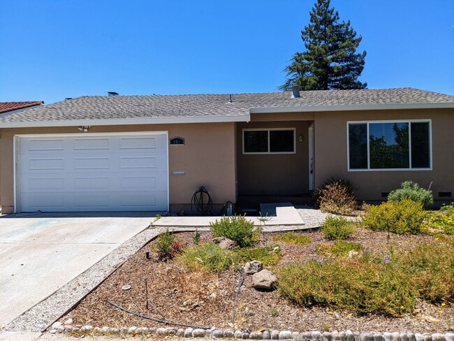 Remodeled 4 Bed 2 Bath Sunnyvale Home - Sp... - Remodeled 4 Bed 2 Bath Sunnyvale Home - Sp...