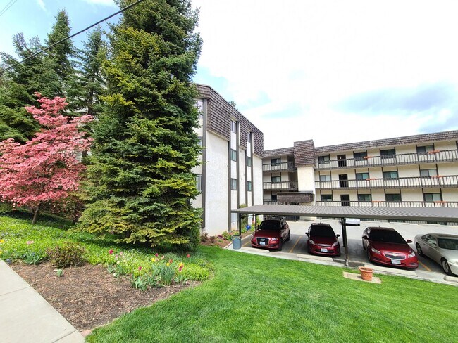 Photo - $1,650 - 2 Bed / 2 Bath Spacious Top Floor...