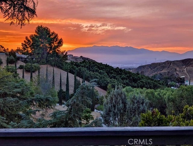 31390 Mesa Dr