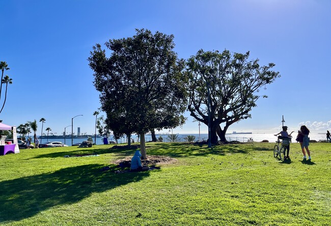 Photo - 31 Hermosa Ave