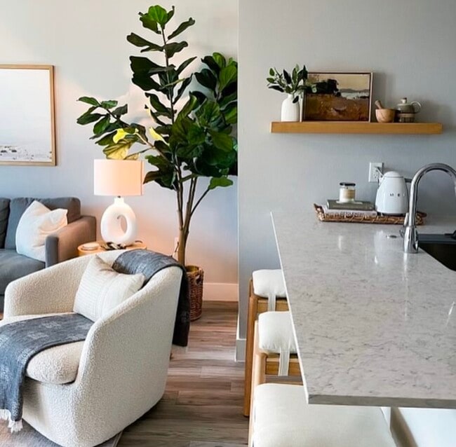 1BD, 1BA - Kitchen Counter Area