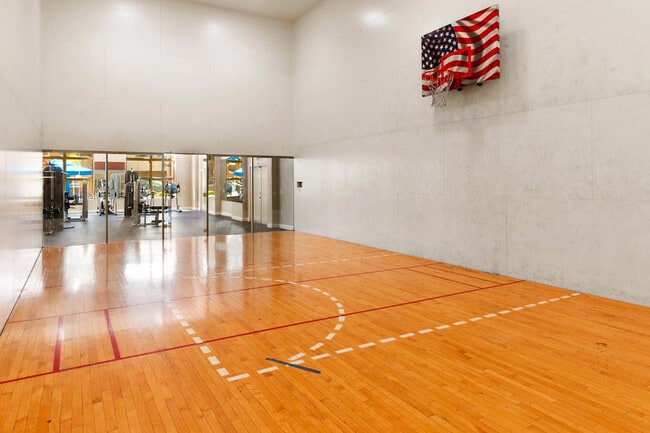 Basketball Court