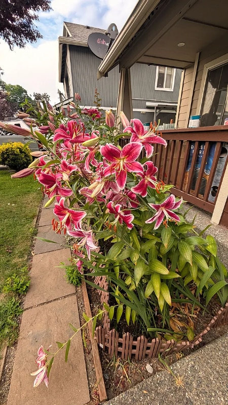 Photo - 36264 23rd Pl S