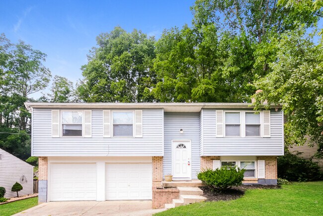 Beautiful Bi-Level Home! - Beautiful Bi-Level Home!