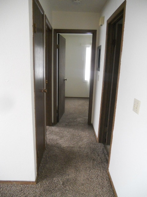 Photo - 1718 14th Ave W Unit 3