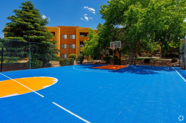 Basketball Court