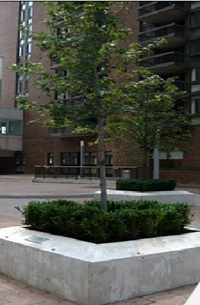 Building Photo - 57 Charles at Bay