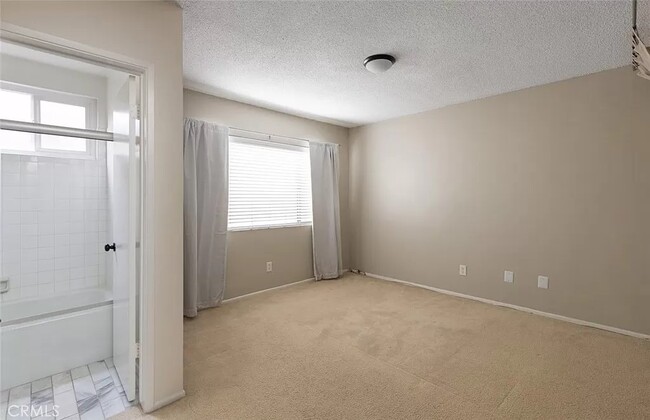 Photo - Shadi Abouseif