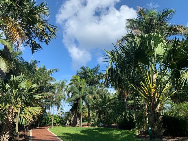 Balcony View - 1100 N Shore Dr NE Unit 204