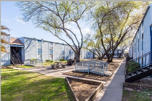 Cielo at Domain - Cielo at Domain Apartments