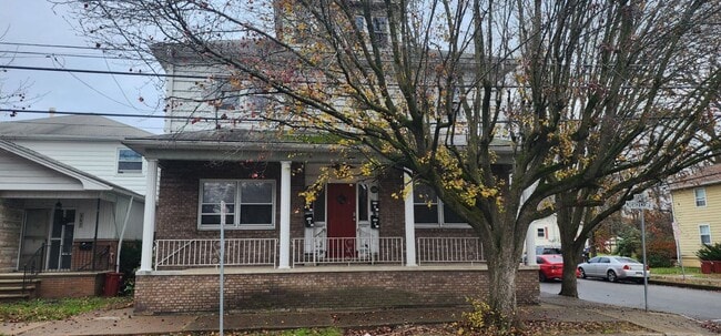 Building Photo - Newly Renovated 1-bedroom, 1-bathroom apartment on Northampton Street in Kingston is now available! Unit 1