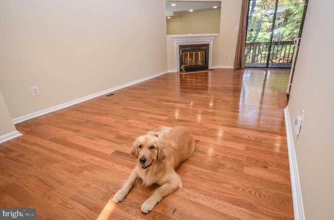 Photo - 8711 Ravenglass Way