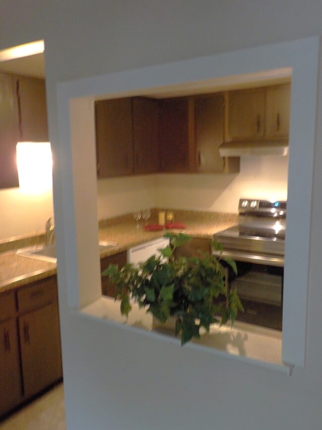 Kitchen Pass Through - 2109 Cedar Run Dr Unit 107