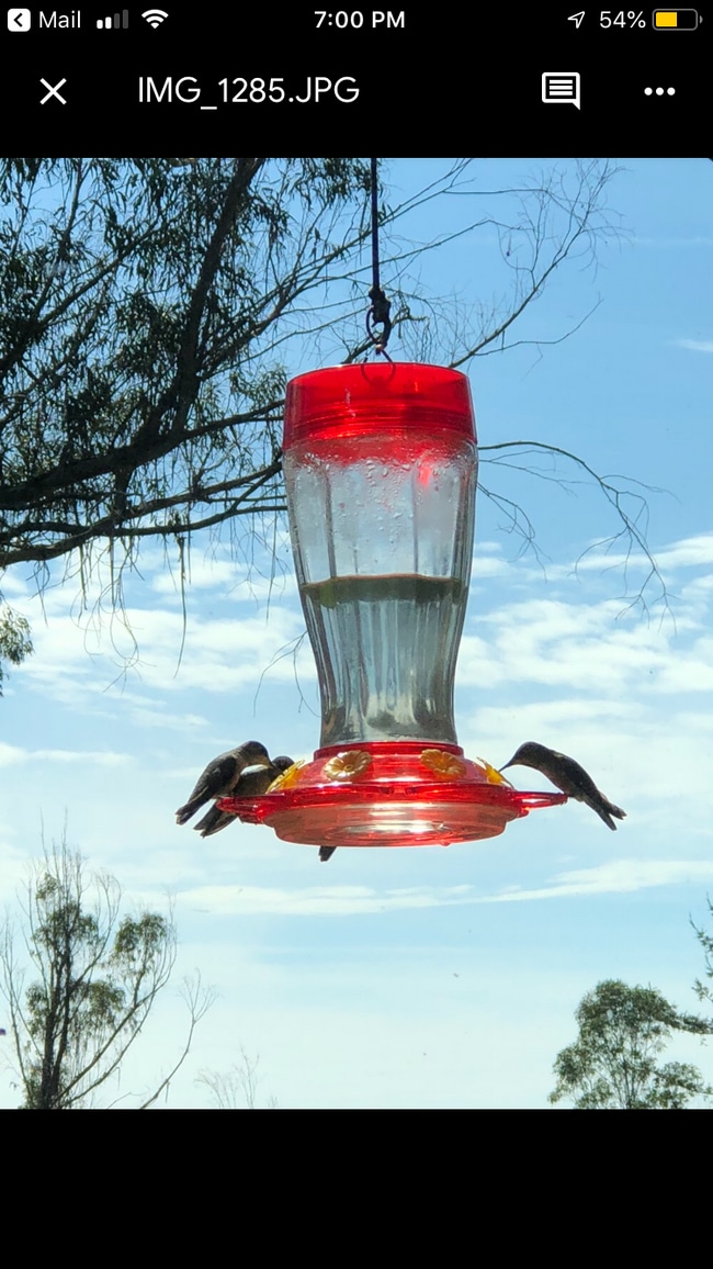 Photo - 221 Gillette Rd