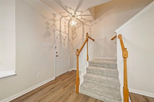 Photo - 2508 Durango Ridge Dr