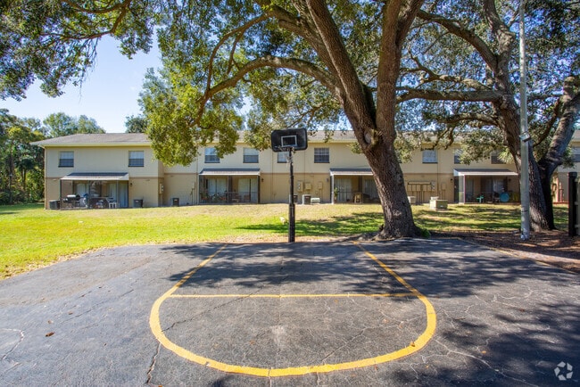 Basketball Court