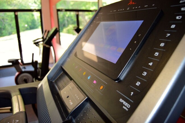 Photo - University Garden