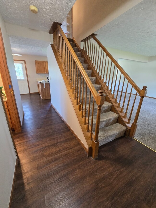 Photo - 4146 Demorest Cove Ct