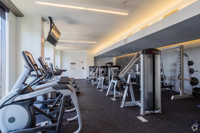 Gimnasio