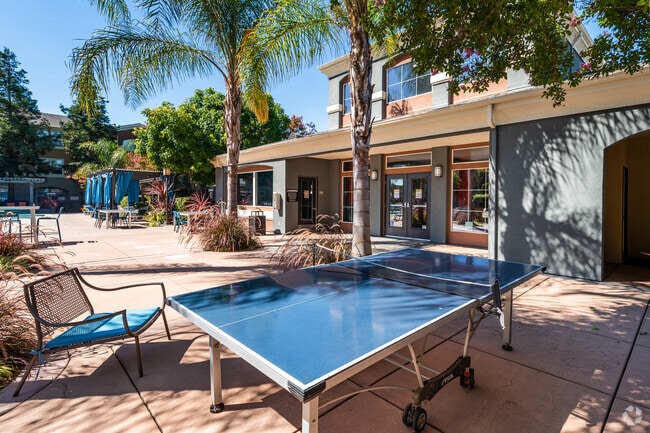 Ping Pong Table