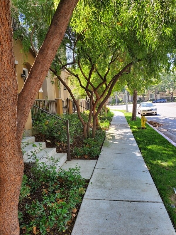 Photo - 2458 Autumnvale Dr