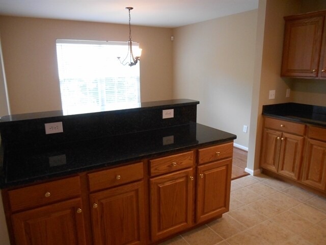 Photo - 1222 Orchard Oriole Ln