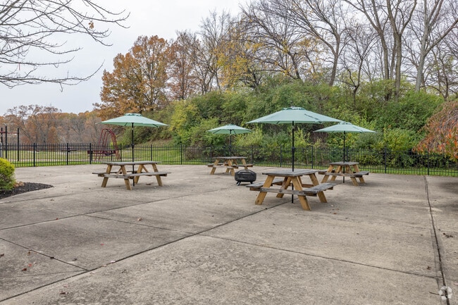 Patio - Views of Mt Airy