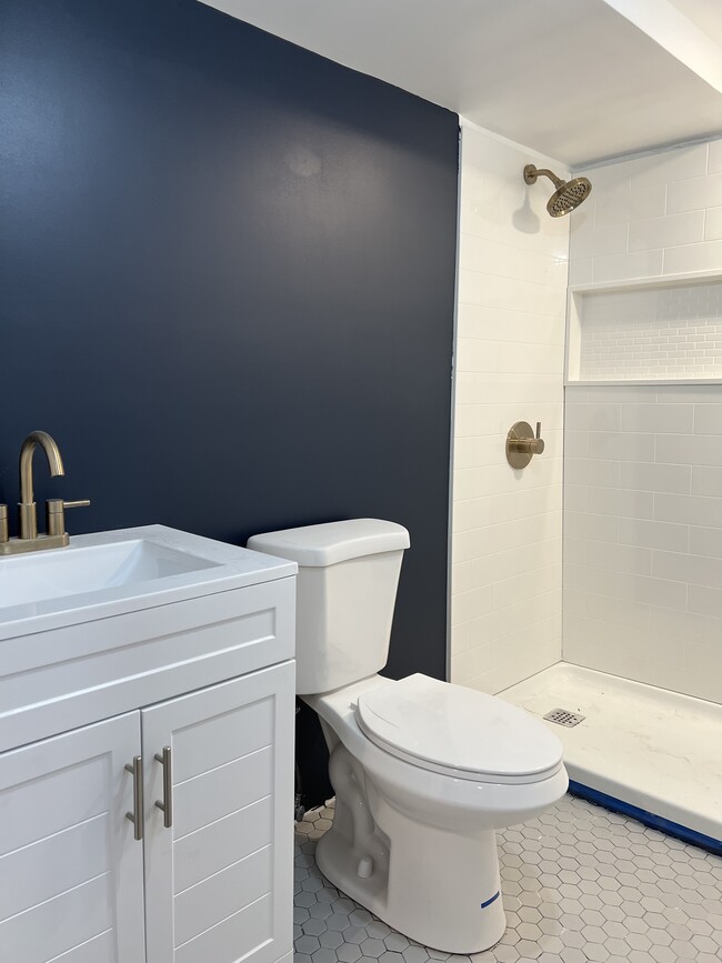 Lower Level Bathroom - 115 Ward St Unidad 1