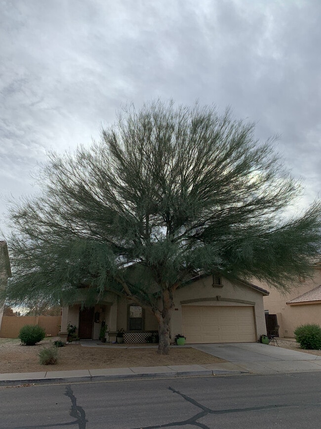 Building Photo - 3bed//2bath in San Tan Valley