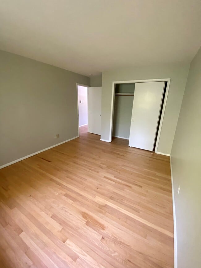 Photo - Paltz Commons