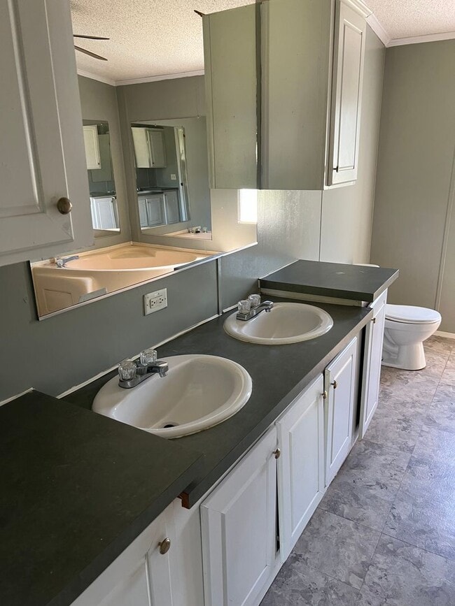 Photo - Nice 3 Bedroom 2 Bath Available Now! Schedule your tour and Apply today!