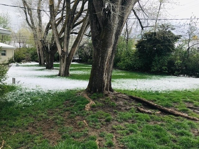 Photo - Beautiful single level home with fenced back yard