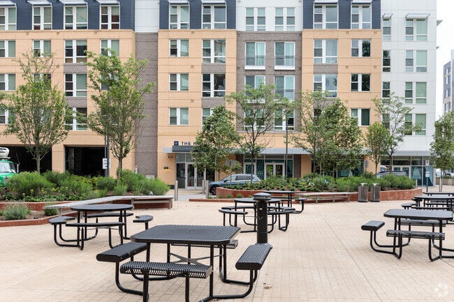 Photo - Benchmark at Alexandria