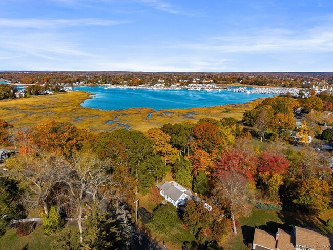 Photo - 31 Pawson Rd