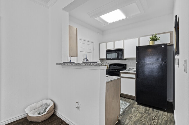 Photo - Vineyard Springs