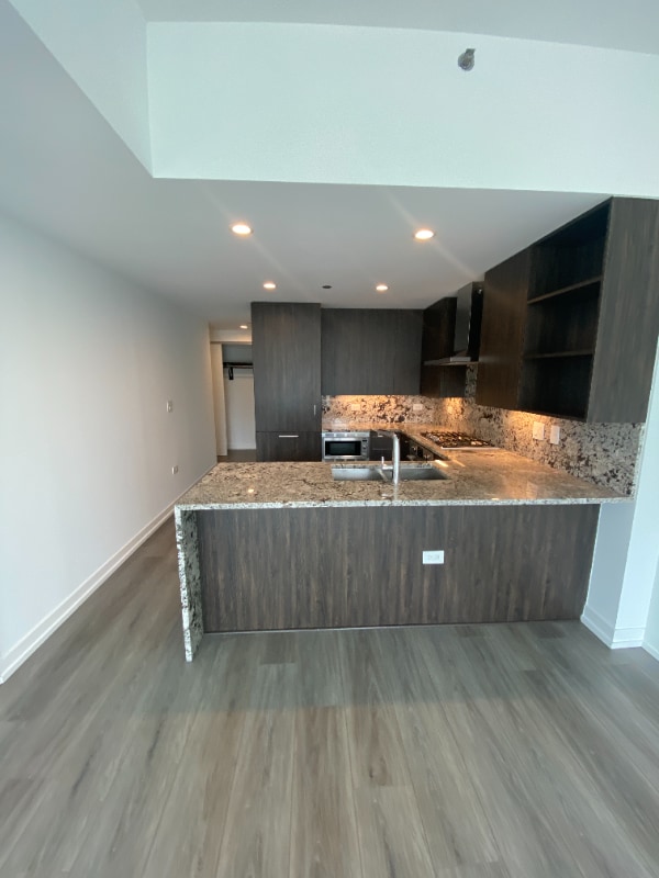 734 N Hudson Ave Condo Unit 901 Condo for Rent in Chicago, IL