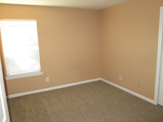 Photo - Cozy 3 Bedroom, 2 Bath Home in Saddlebrook