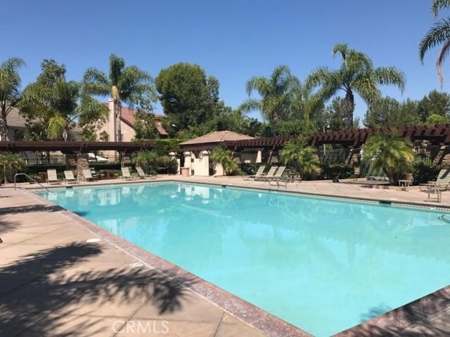 Photo - 143 Autumn Leaf