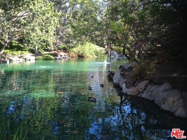 Photo - 1115 Raintree Cir