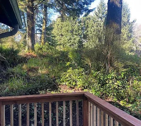 House in the Trees