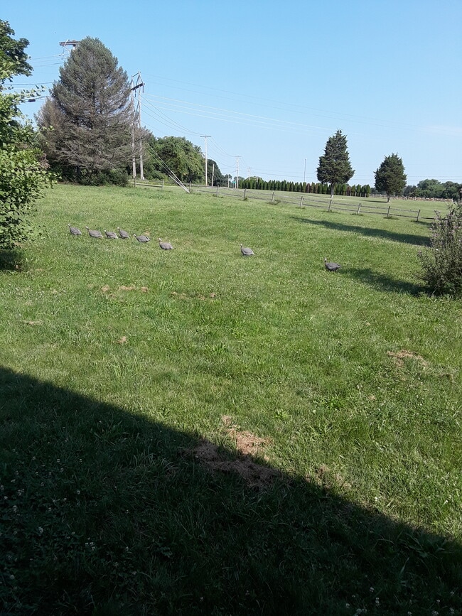 Photo - 992 Broad Ln