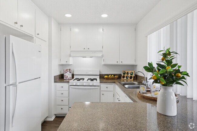 2BR, 1BA - 850SF - Kitchen