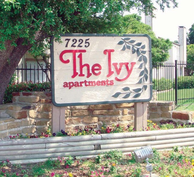 Photo - The Ivy Apartments