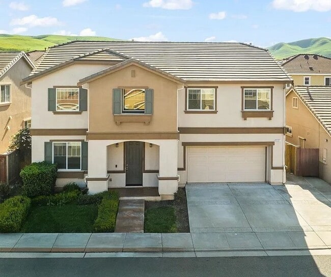 Must See! - Must See! House