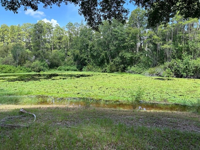 Photo - 4401 Longshore Dr