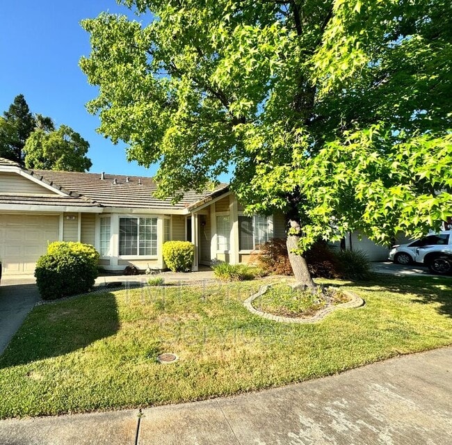 Building Photo - 204 Sapphire Ct