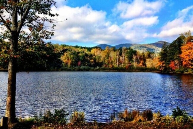 Photo - Black Mountain - Newly Renovated 3 Bedroom...