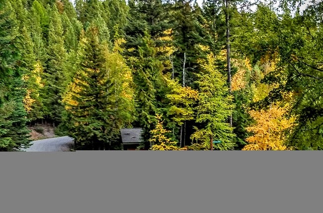 Mountainside driveway - 3000 Ptarmigan Blvd Rental